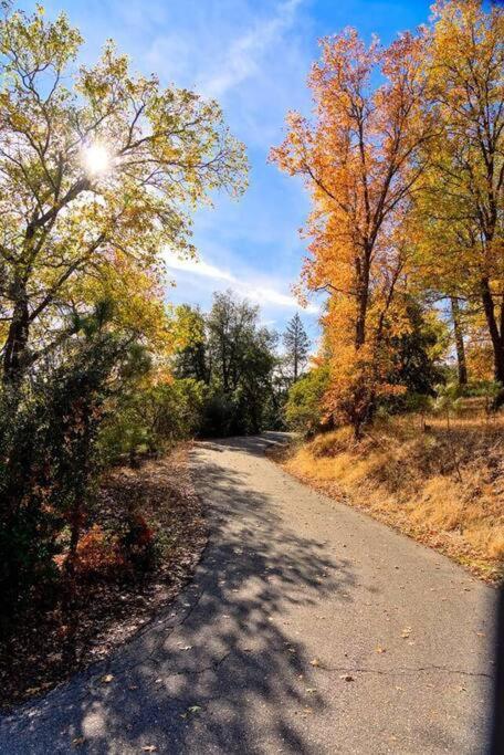 Yosemite'S Scenic Hideaway Villa Midpines Ngoại thất bức ảnh